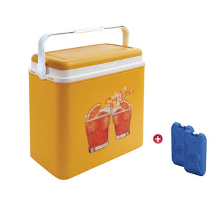 Kühlbox 24 Liter + 2 x 400 ml Kühlakkus (Farbe wählbar)