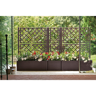 SPALIER Rattan (schmale Version) Farbe: Anthrazit