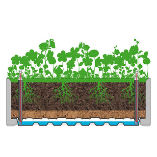 XL PFLANZKASTEN mit Wasserspeicher Rattan (breite Version) Farbe: Anthrazit