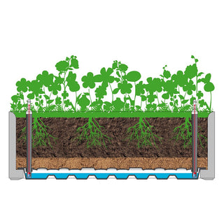 XL PFLANZKASTEN mit Wasserspeicher Rattan (breite Version) WEISS